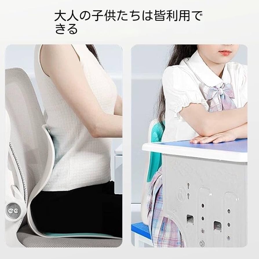 SOT理論書と姿勢矯正クッションセット SOT理論書と姿勢矯正